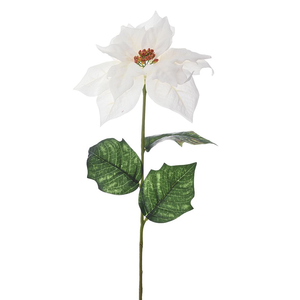 BOŽIĆNI CVET BELI 20*64 CM