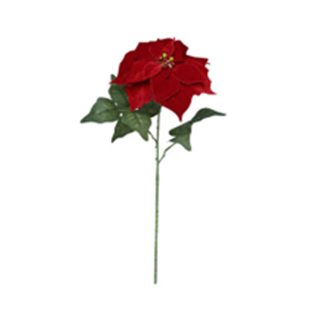 BOŽIĆNI CVET BORDO 72 CM