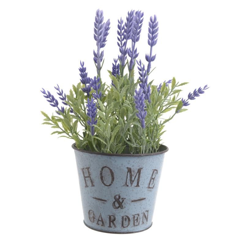 3857830005 Cvet Vestacki Lavanda U Saksiji 11 11 24cm