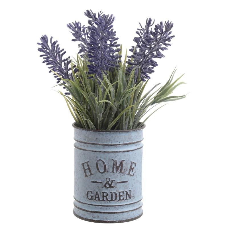 3857830004 Cvet Vestacki Lavanda U Saksiji 6 6 17cm