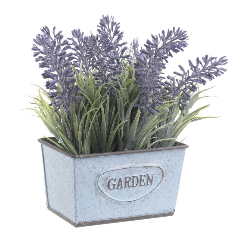 3857830006 Cvet Vestacki Lavanda U Saksiji 9 6 14cm