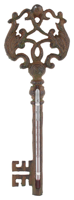 3707980067 METALNI TERMOMETAR 