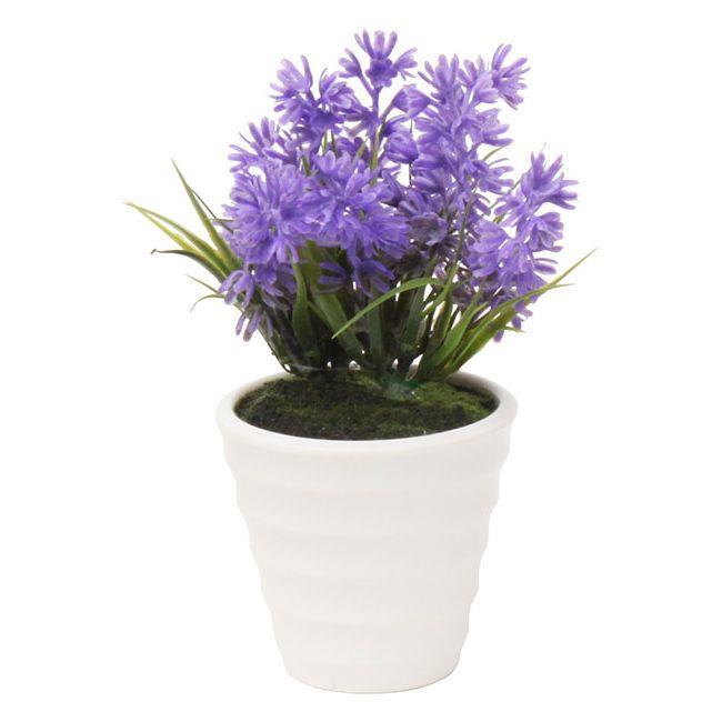 3854750081 MINI IKEBANA LAVANDA 7*7*14cm