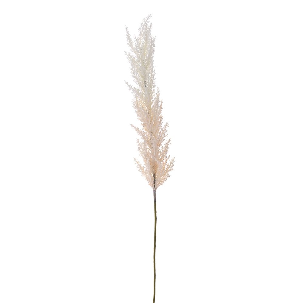 PAMPASI BEŽ BELI 98 CM