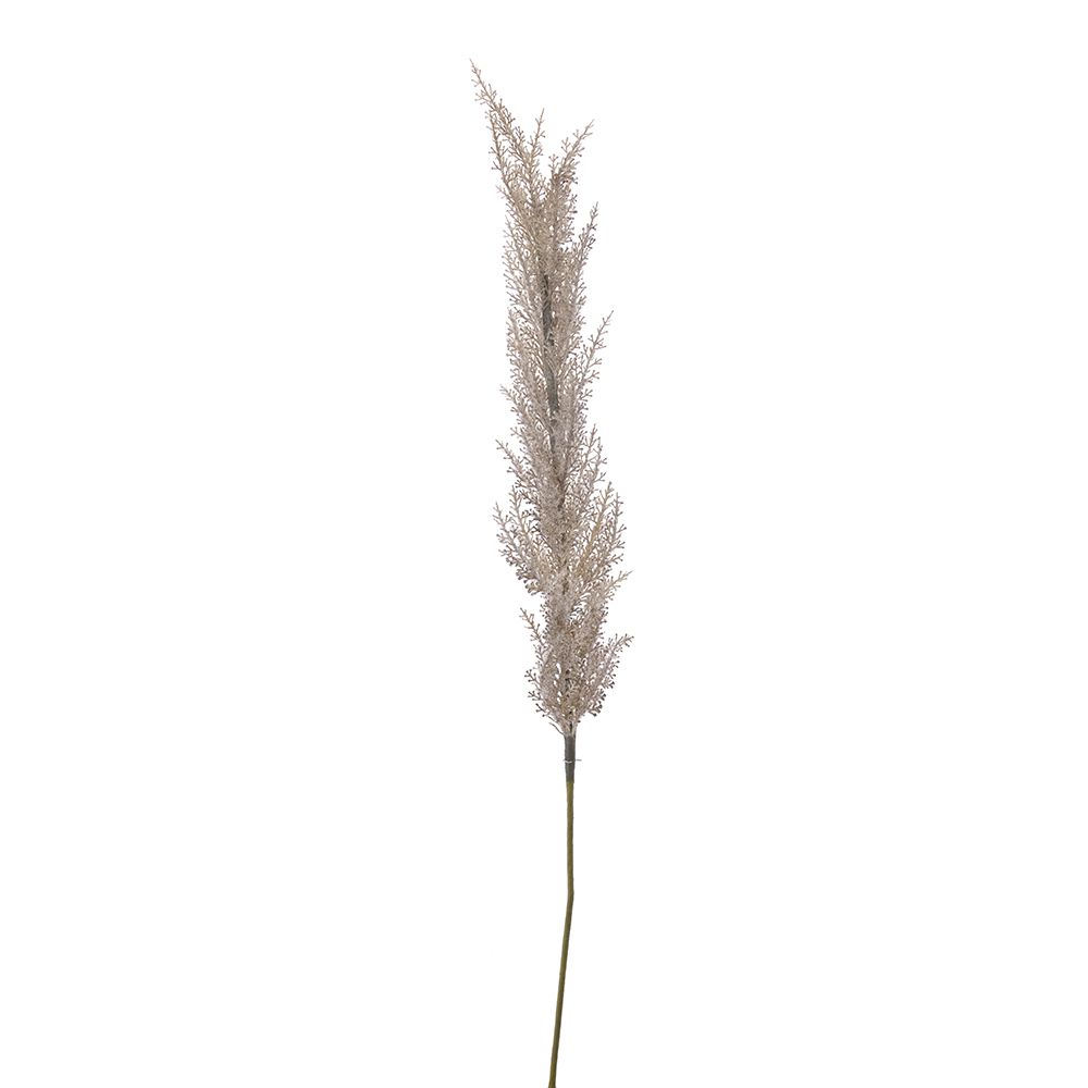 PAMPASI BRAON 98 CM