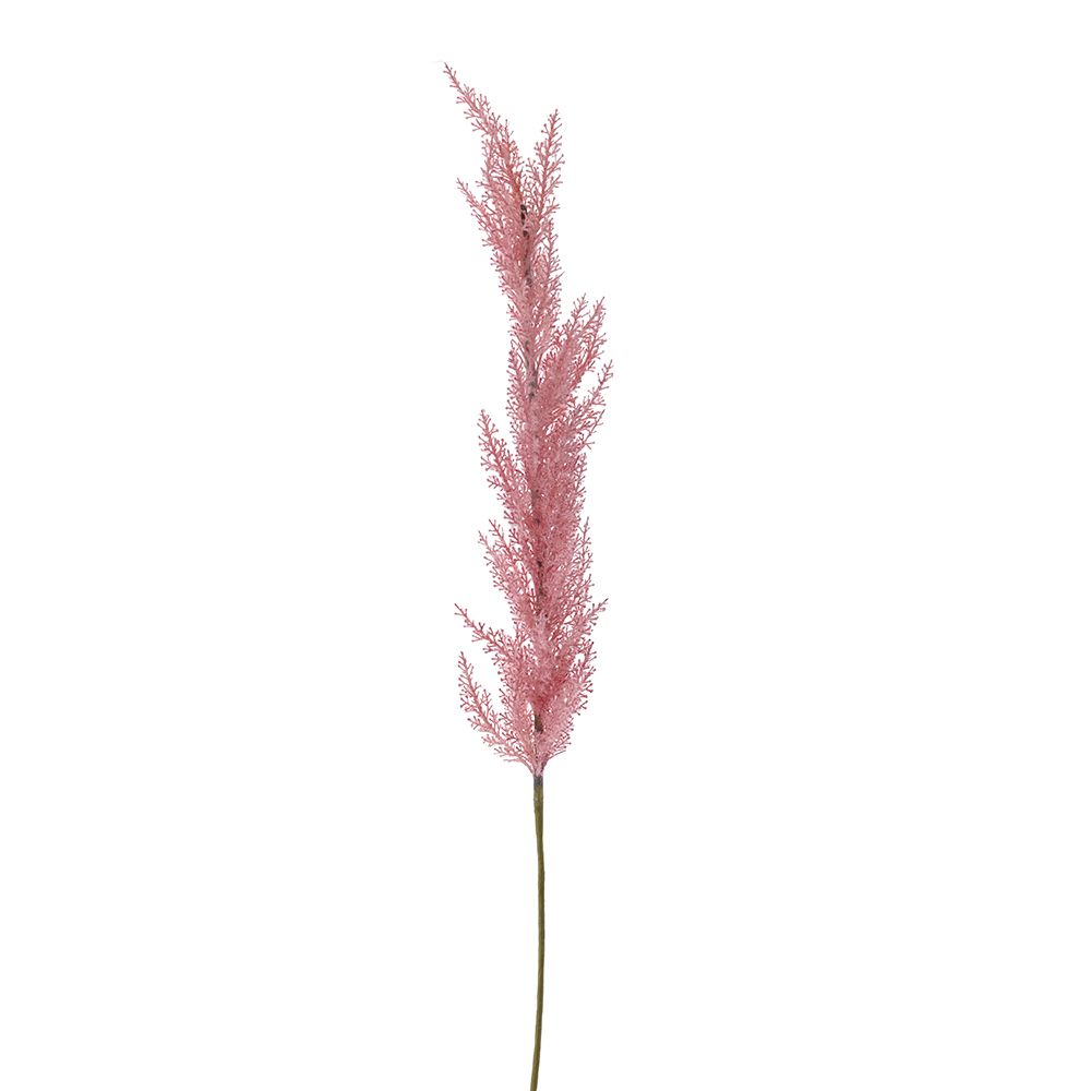 PAMPASI ROZE 98 CM