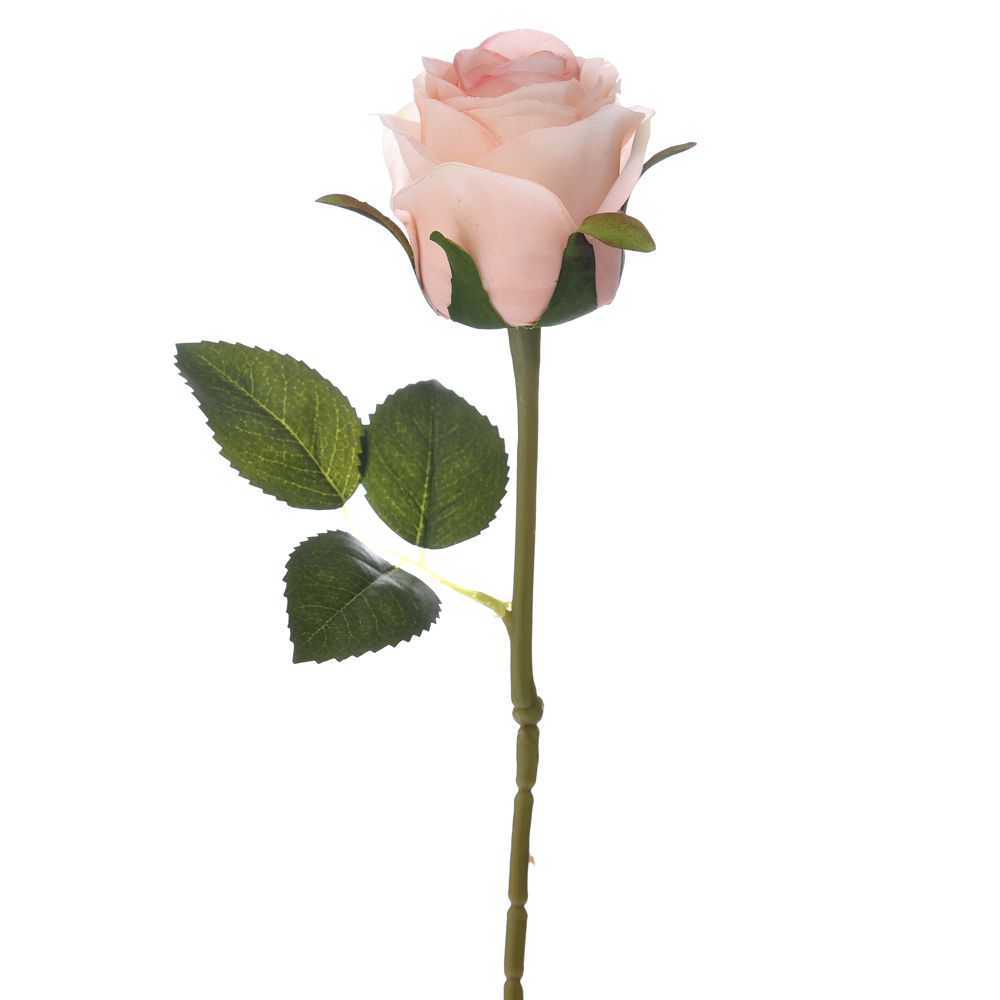 73984 RUŽA VEŠ6TAČKA ROZE 50 CM