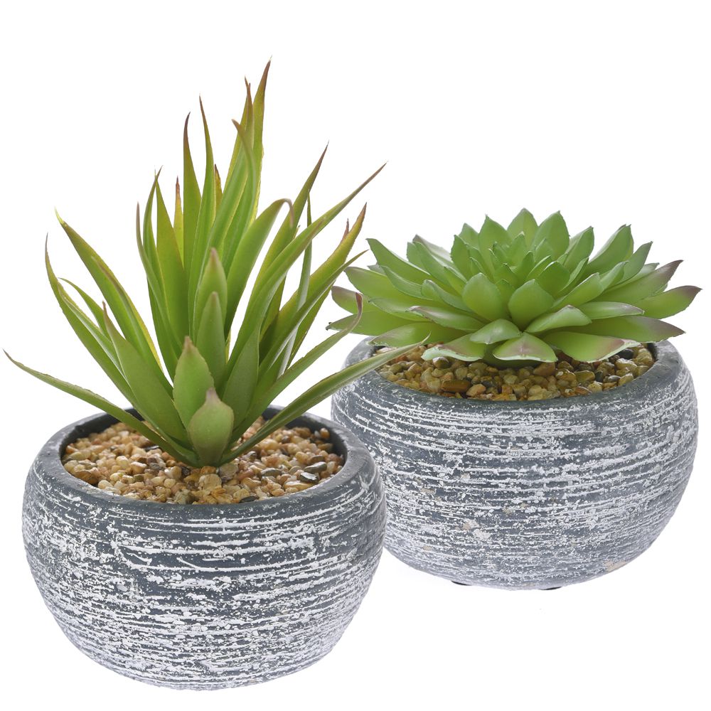 74455 VEŠTAČKA ALOJA U SAKSIJI 2 MODELA 10X10-15 CM