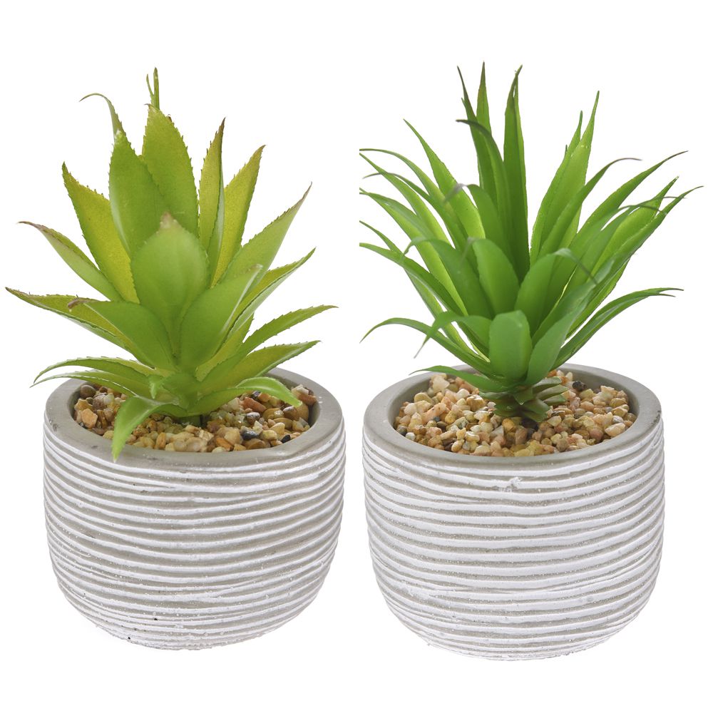 74454 VEŠTAČKA ALOJA U SAKSIJI 2 MODELA 10X15-17 CM