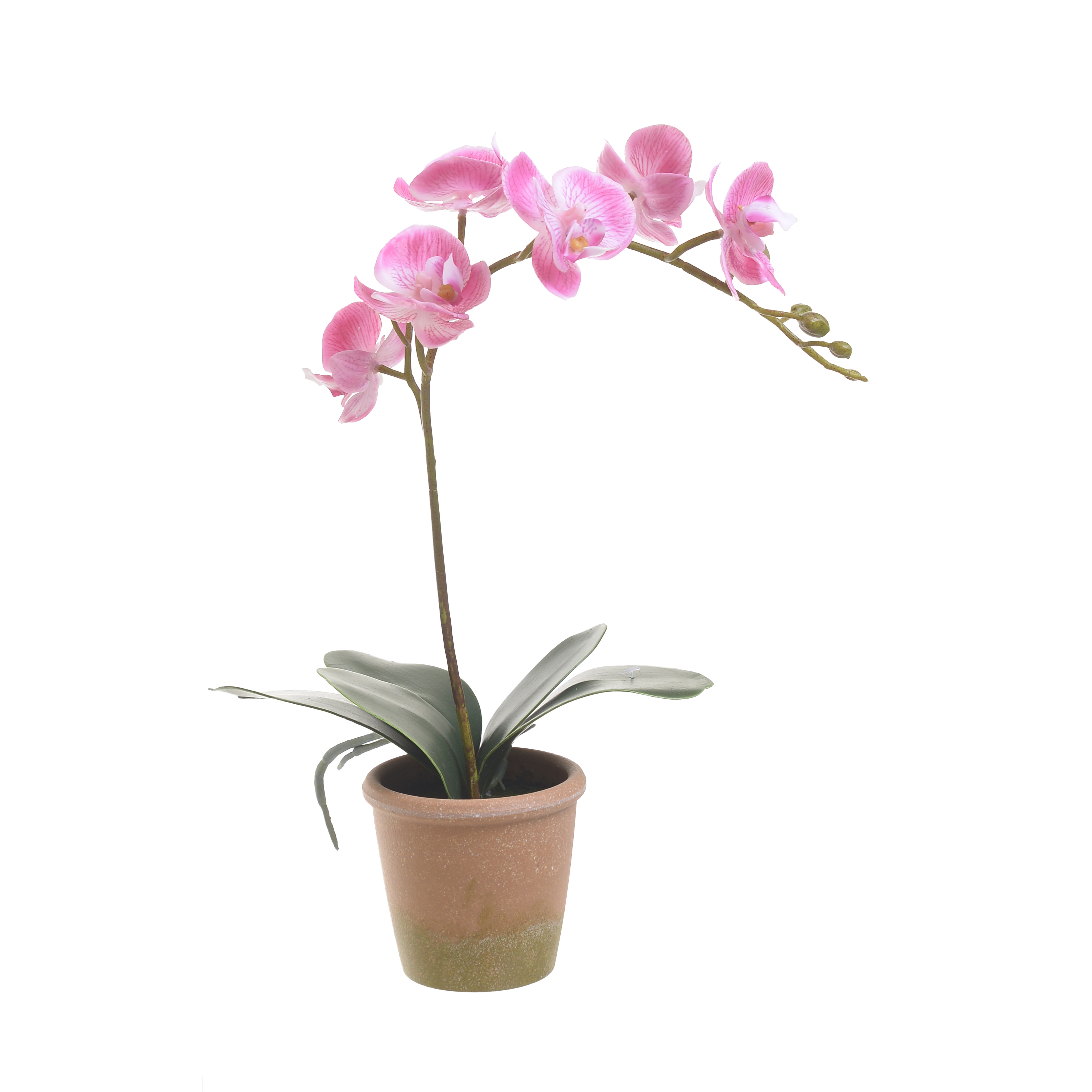 3852460198 Vestacka Orhideja Roze U Saksiji 33cm