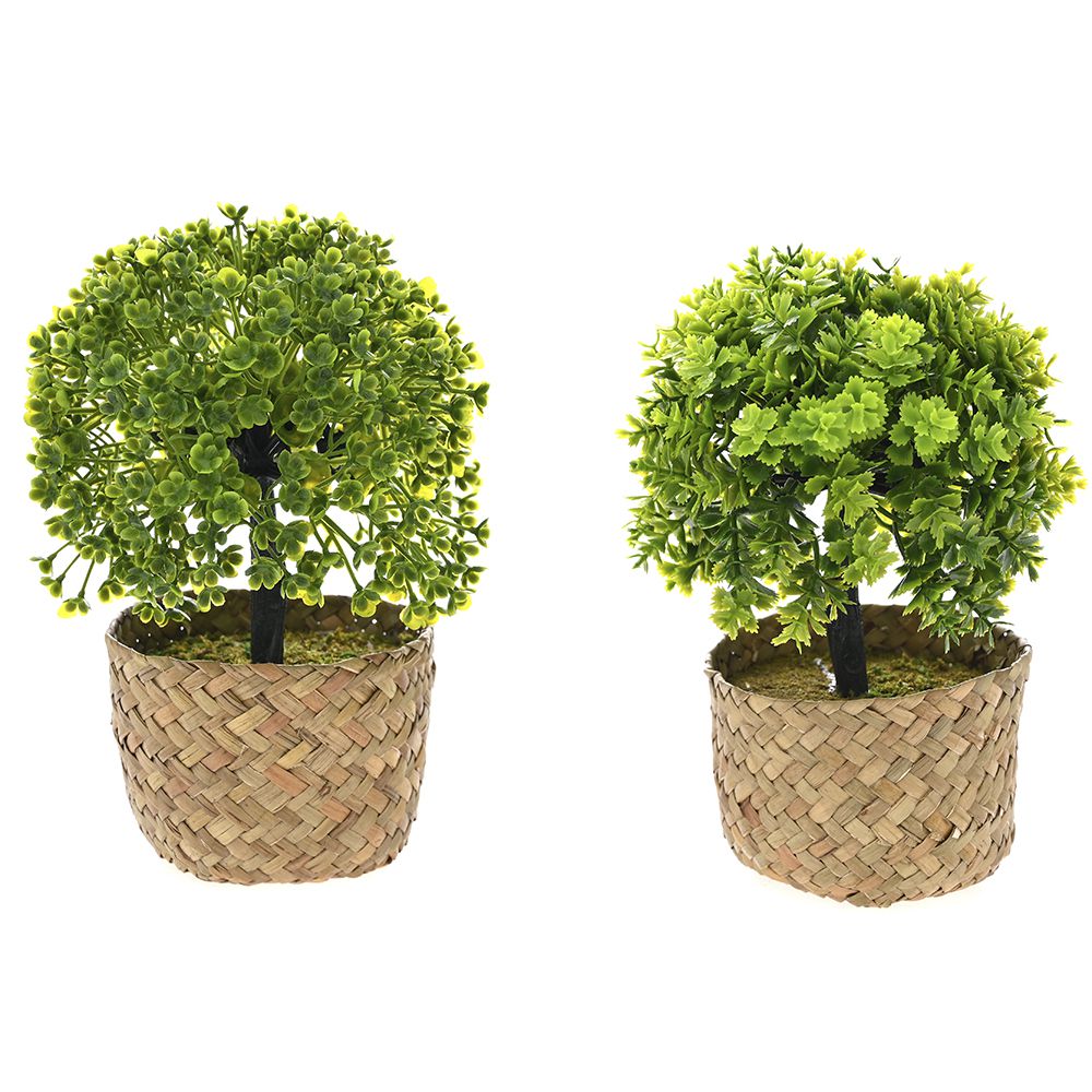 81138 VEŠTAČKE BILJKE U PLETENOJ KORPICI 2 MODELA 13X18 CM 9X7 CM