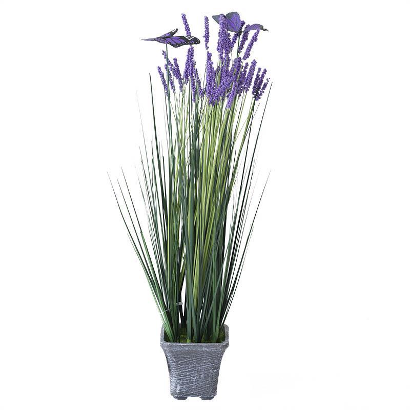 Vestacki Cvet Lavanda U Saksiji