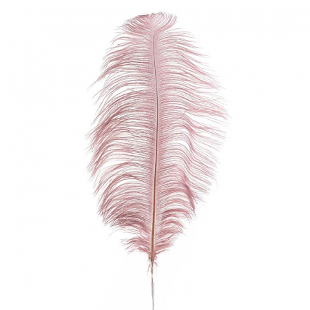 3703550020 DEKORATIVNO PERJE ROZE 40/70 CM
