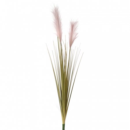 80883 PAMPASI ROZE 98 CM