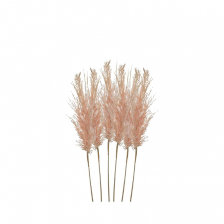 3859090015 PAMPASI ROZE S/6 70 CM