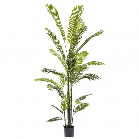 80895 VEŠTAČKA ARECA PALMA 220 CM